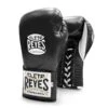 Cleto Reyes 'Safetec' Pro Fight Boxing Glove