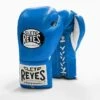 Cleto Reyes Traditional Pro Fight Boxing Gloves