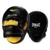 Everlast Elite Leather Punch Mitts