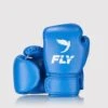 Fly Kids Superloop X Boxing Gloves