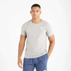 Fly Small Logo T-Shirt -GEEZERS BOXING fly2509 grey a