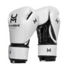 HIT N MOVE All Day Pro Balance Boxing Gloves - Velcro