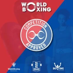 Sting Competition Approved Boxing Gloves 2.0 -GEEZERS BOXING st117 wba