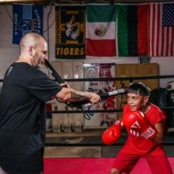 TITLE Precision Training Sticks 2.0 -GEEZERS BOXING sticks 6