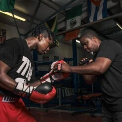 Title Gel Palm Pads -GEEZERS BOXING tb716 c