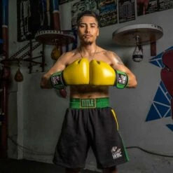 TITLE Boxing WBC Jose Sulaiman Training Gloves -GEEZERS BOXING title boxing wbc training gloves 5