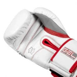TITLE GEL Special Edition Bag Gloves -GEEZERS BOXING title gel special edition bag gloves 3