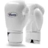 Winning MS Training Velcro Boxing Gloves